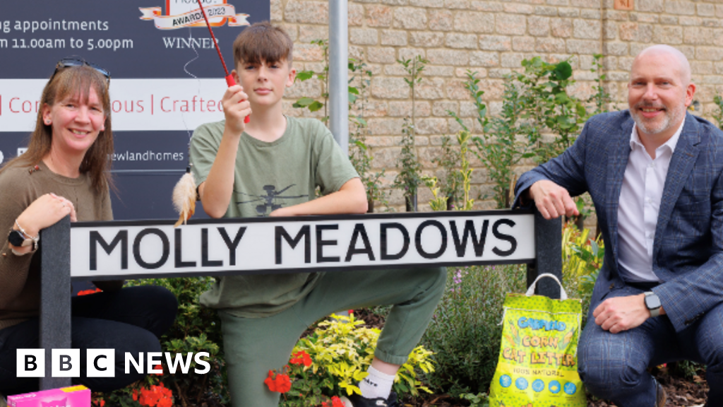 Yate street name honours Molly the Tesco cat BBC News