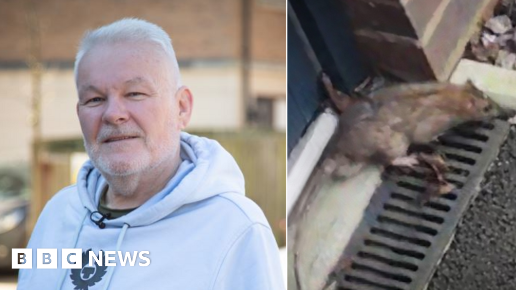 Bangkit tikus di Cardiff membuat penduduk takut membuka pintu depan