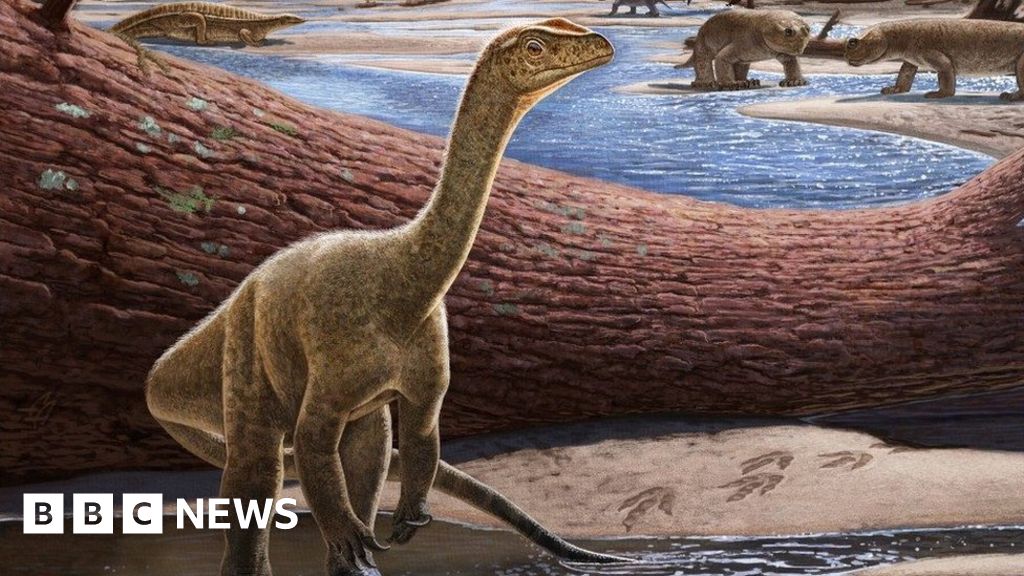 Africa’s oldest dinosaur found in Zimbabwe