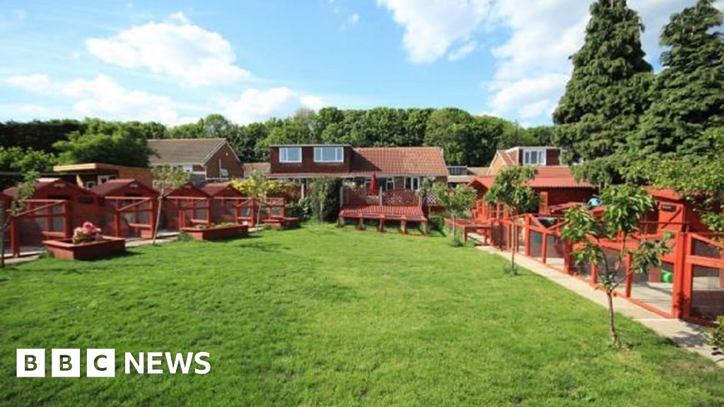 Bradford rabbit boarding business like 'Wallace and Gromit'