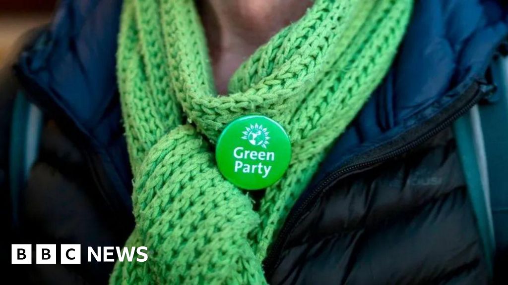 Greens suspend health spokesperson over trans remarks