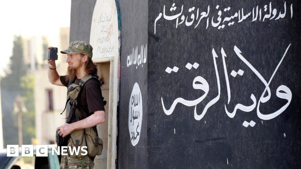 How many IS foreign fighters are left in Iraq and Syria?