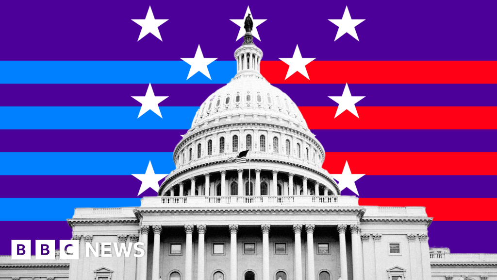 US Election 2024:The races that will decide control of Congress