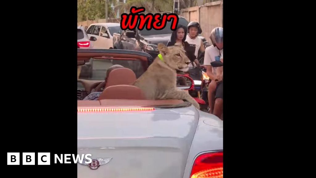 Тайландската полиция ще повдигне обвинение на двама заради домашен любимец лъв, забелязан да пътува с Bentley