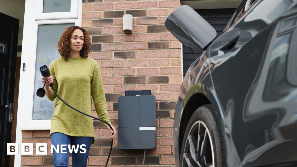 Electric cars will be cheaper to buy, pledges minister