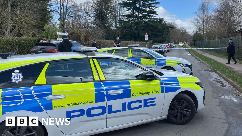 Boy, 16, arrested after girl stabbed at high school