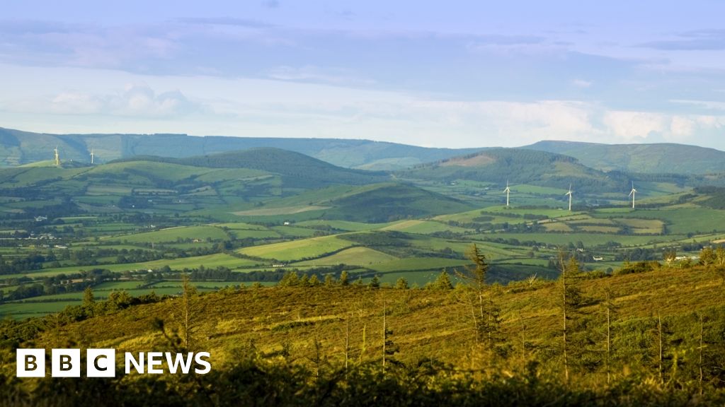 Cap on Irish electricity revenues 'to protect households'