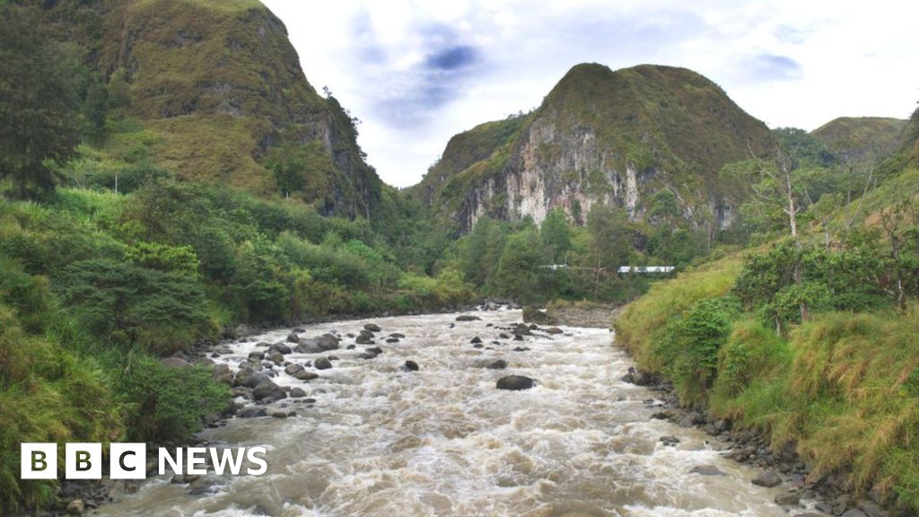 Papua New Guinea ambush: More than 60 shot dead in Highlands region