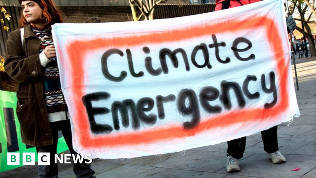 Climate change What is a climate emergency? BBC News