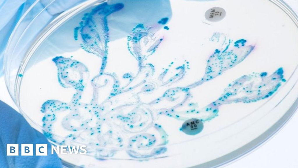 Oxford University scientist makes art from the gut - BBC News