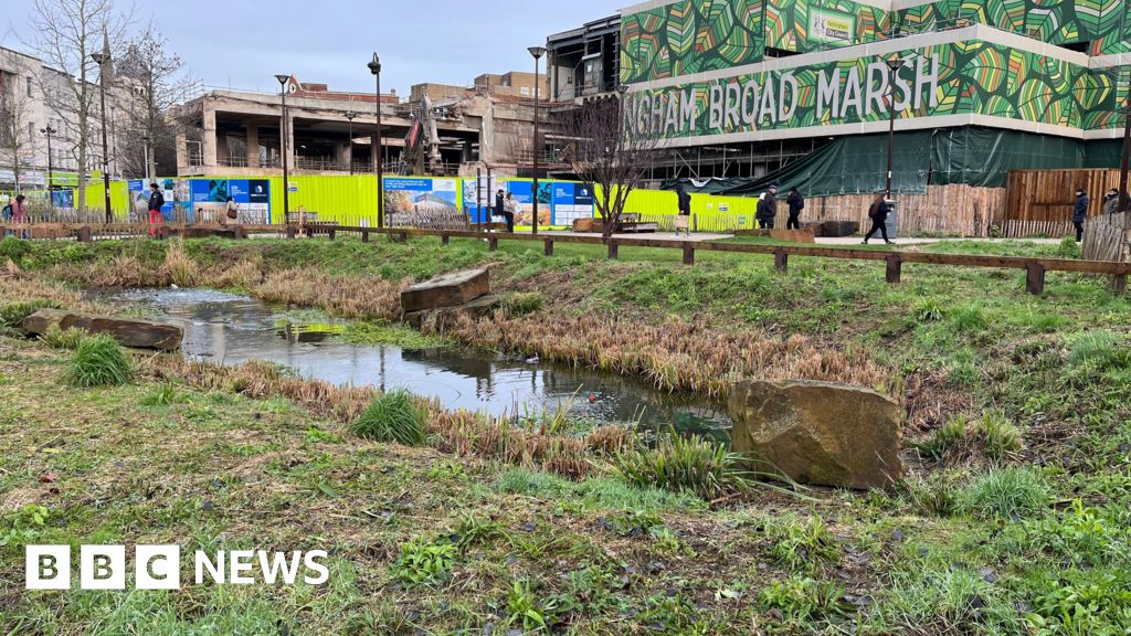 Green Heart return promise despite 'weedy' fears