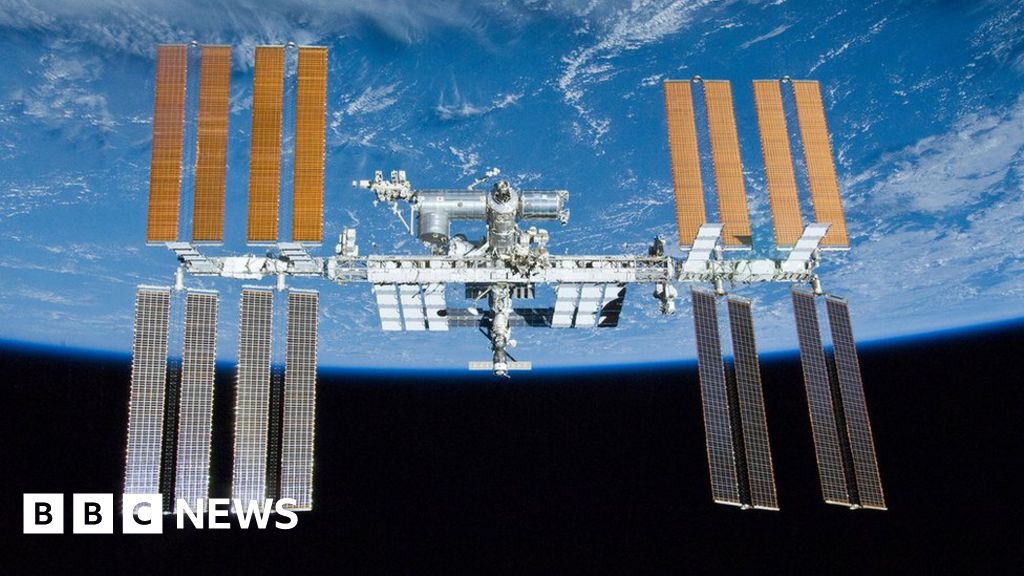 Worms sent into space for muscle loss research mission