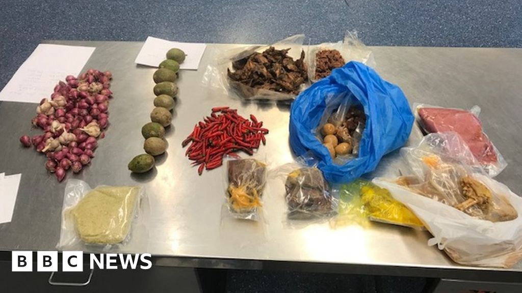 African swine fever: Australia expels Vietnamese woman over pork haul