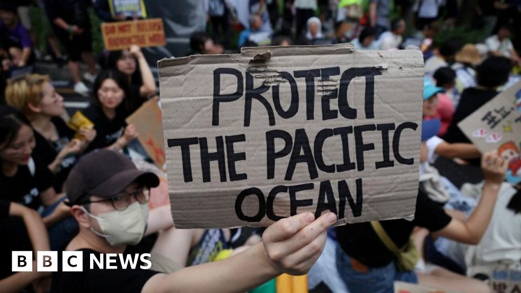 كارثة فوكوشيما النووية: نشطاء مسيرة ضد خطة طوكيو للنفايات