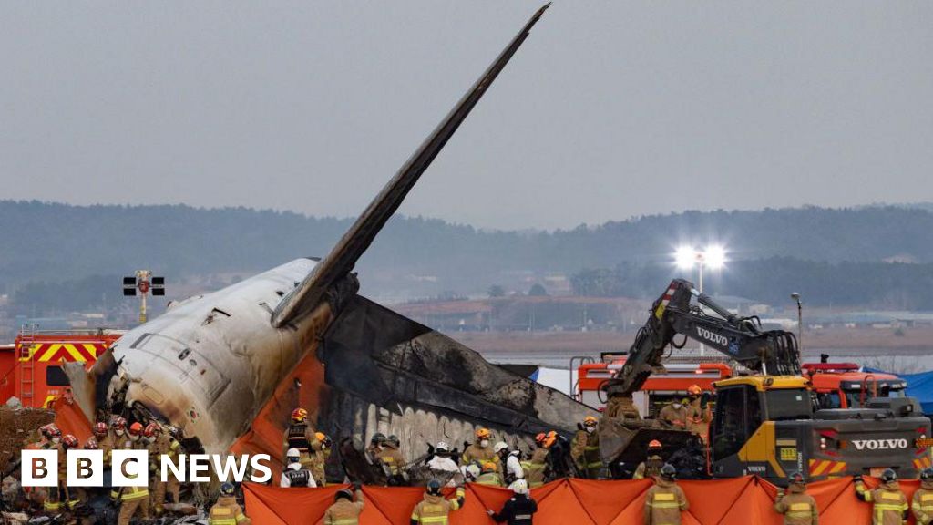 S Korea memesan semua bandara untuk memasang kamera deteksi burung