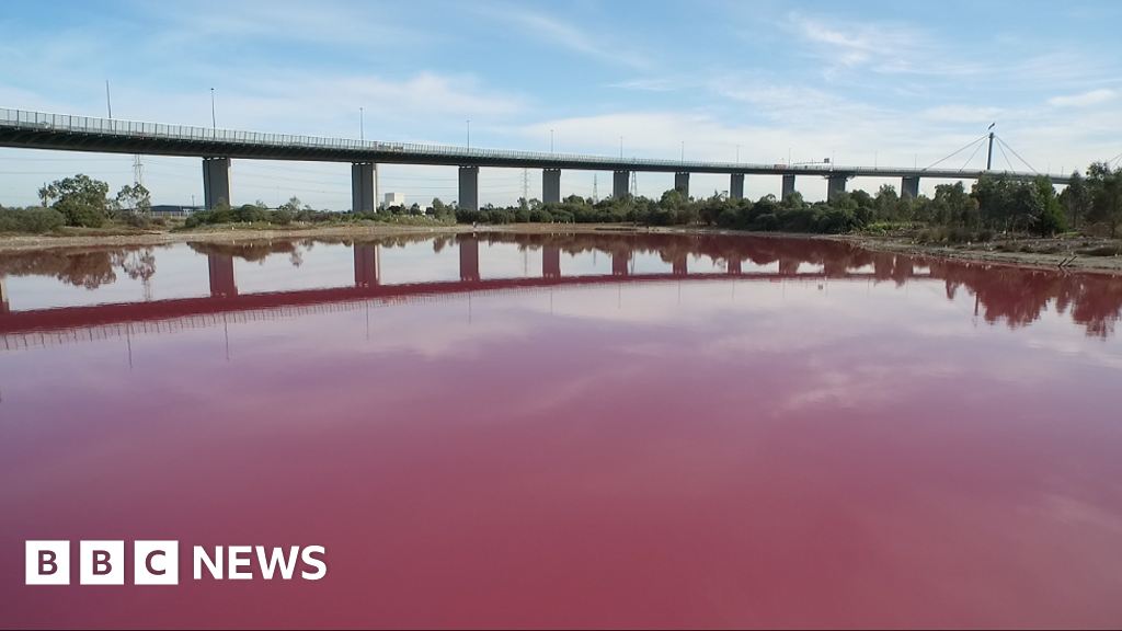 Canadian town sorry for pink tap water - BBC News