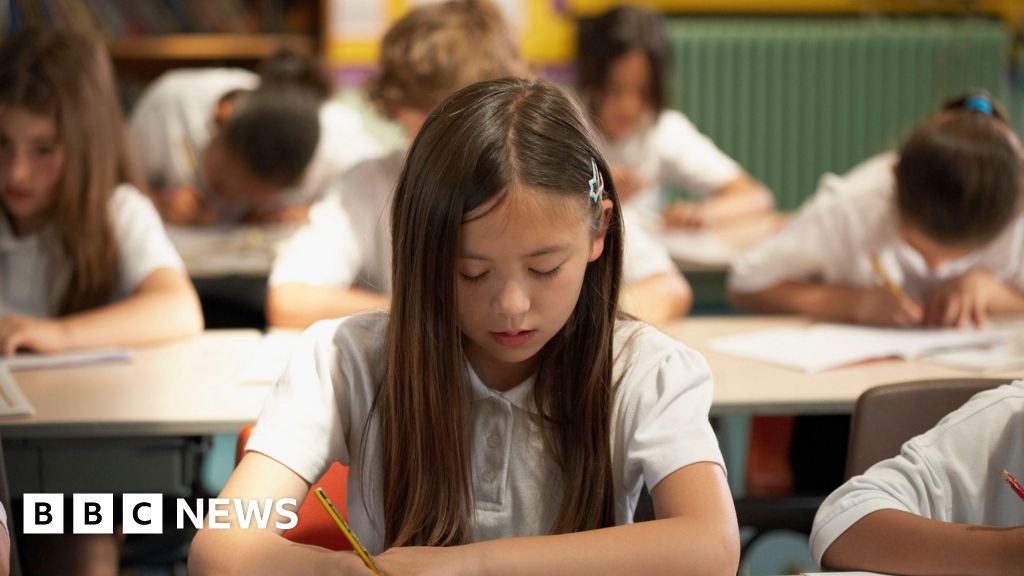 Transfer test: Thousands of NI children to receive results