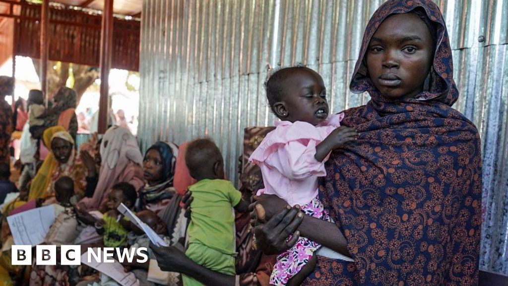 Sudan war: Zamzam camp near el-Fasher pushed into famine - experts