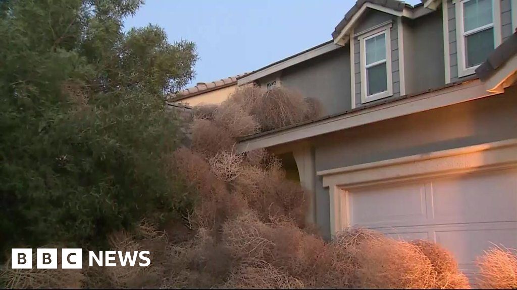 30-foot tumbleweed pileup traps cars, semi-truck on Washington highway