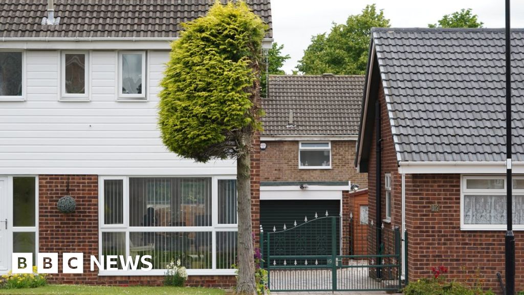 Tree cut in half in neighbour row over driveway pigeon poo BBC News