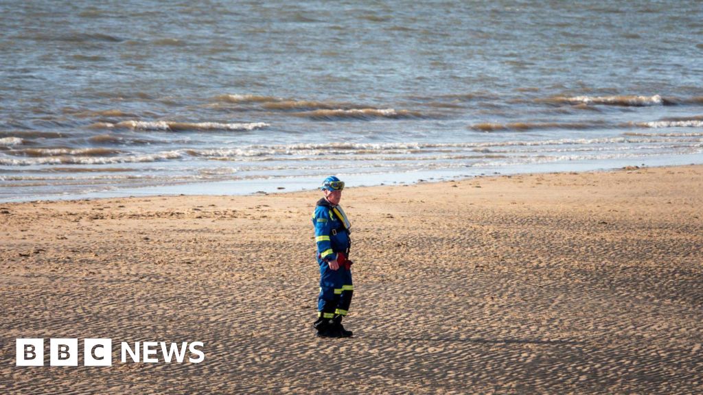 Woman dies trying to rescue dog from sea