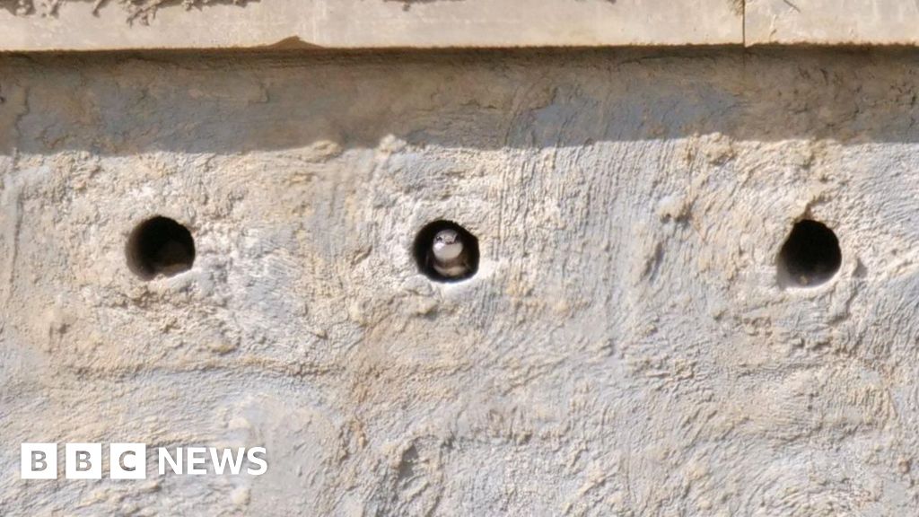 Syrians return to villages destroyed by war