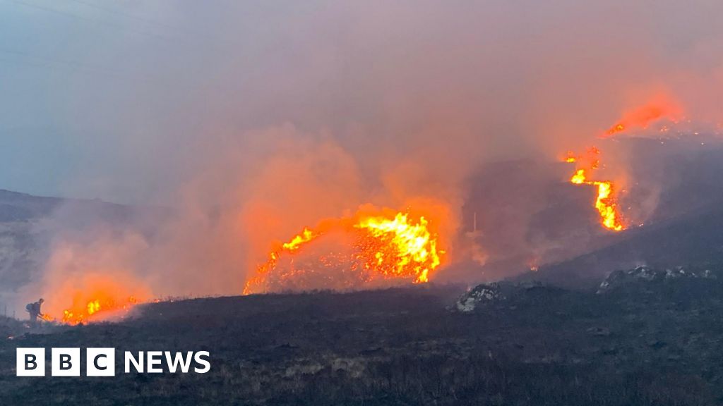 Action plan summit after worst wildfires in living memory