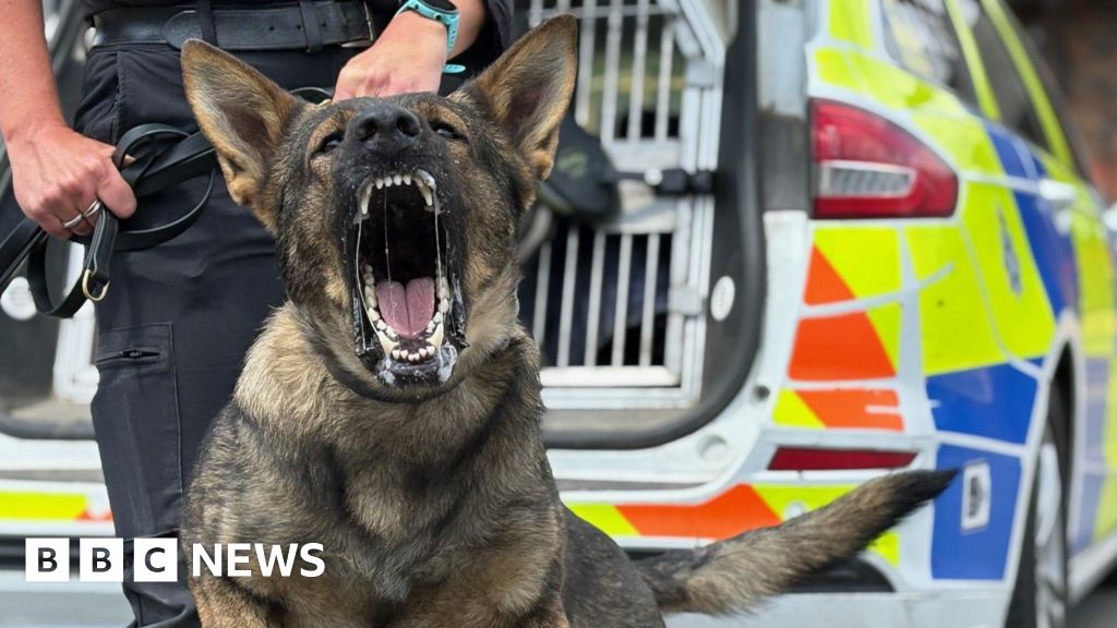 bbc.co.uk - Police dog Gas catches three suspects in Scunthorpe - BBC News