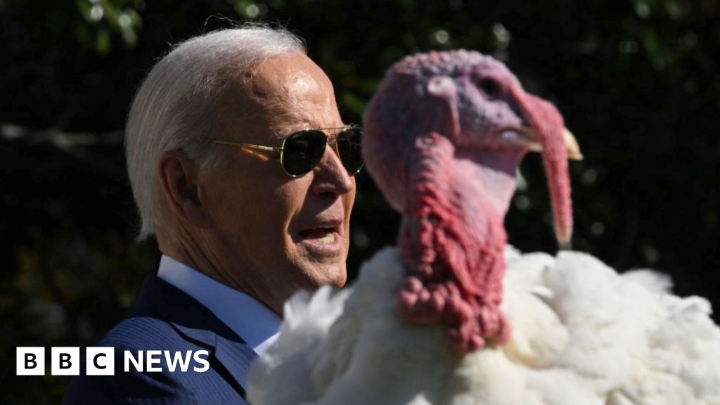 President Biden pardons turkeys at White House