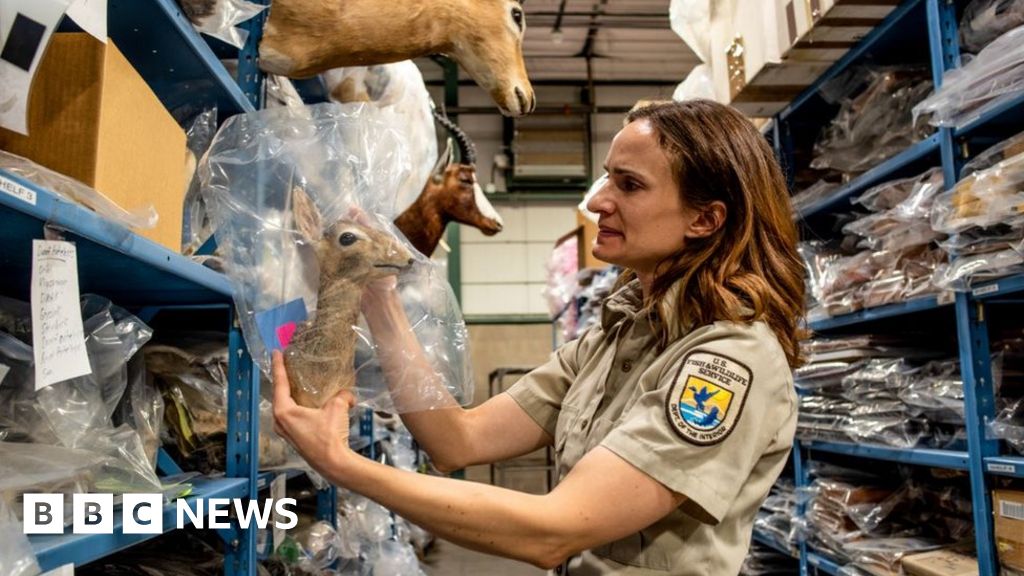 National Wildlife Property Repository: The people who take care of dead animals