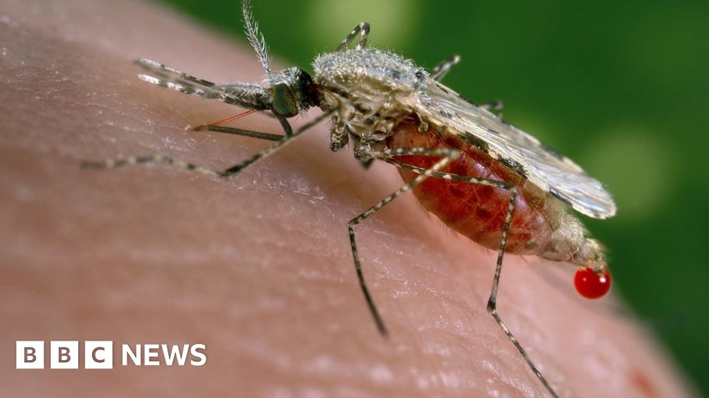 Alarm as 'super malaria' spreads in South East Asia