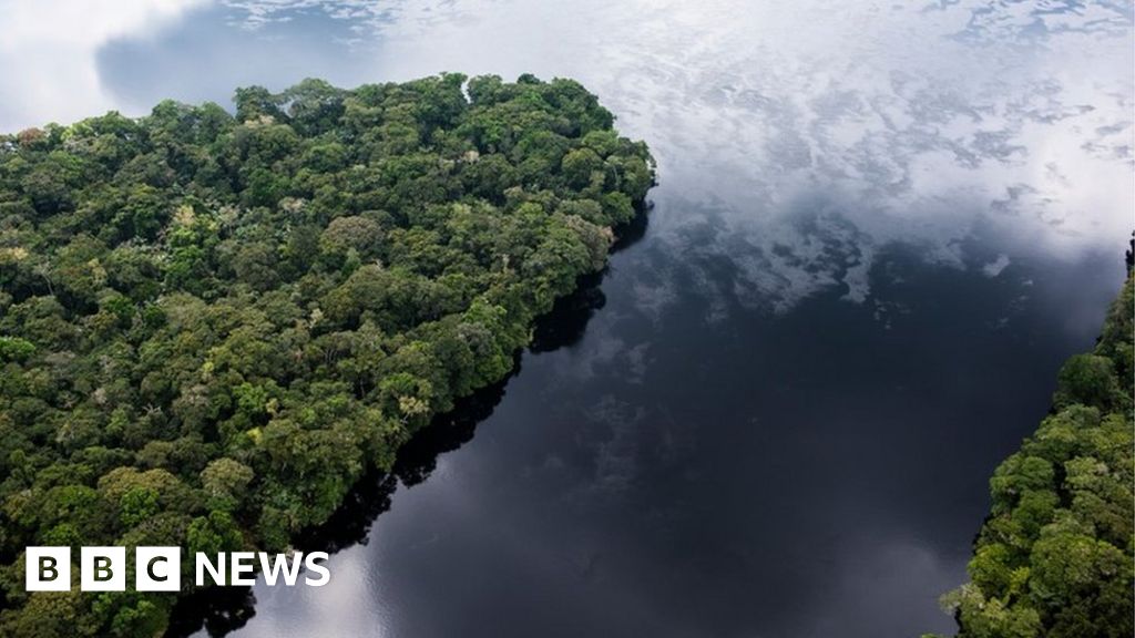 Congo peat: The ‘lungs of humanity’ which are under threat