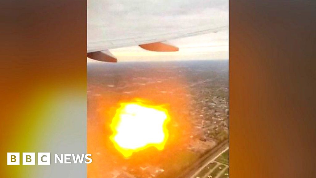 Plane engine splutters flames after bird collision