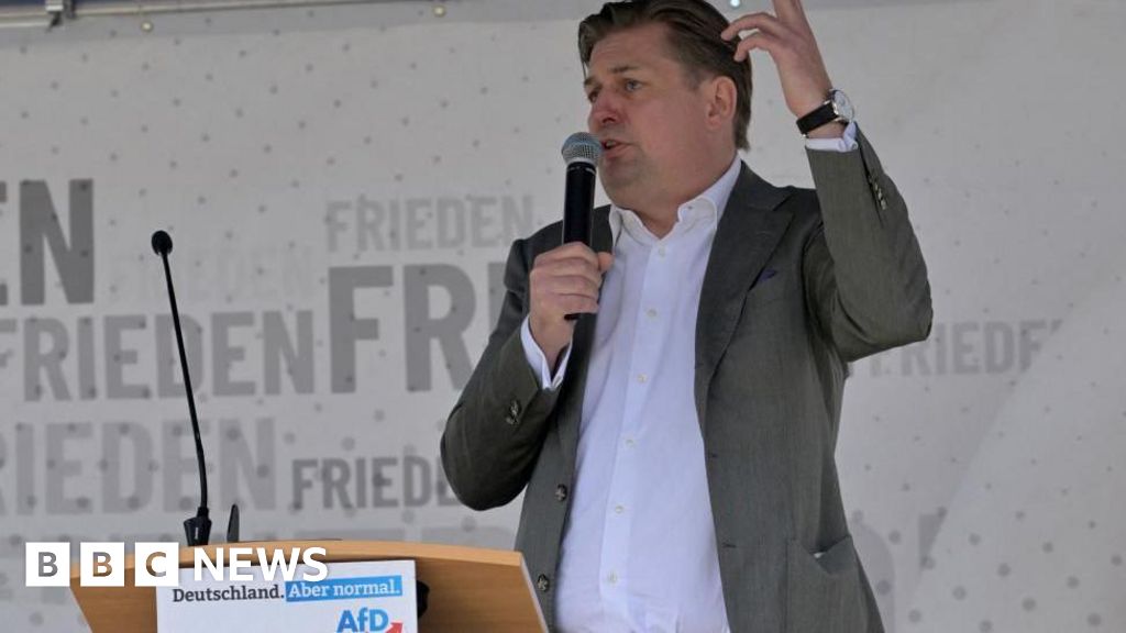 Krajně pravicová strana Alternativa pro Německo (AfD) je po nacistických prohlášeních v rozkladu