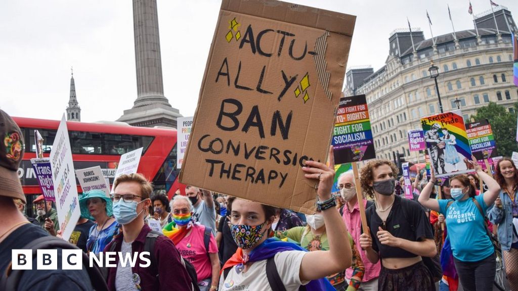 Government LGBT adviser resigns over conversion therapy row