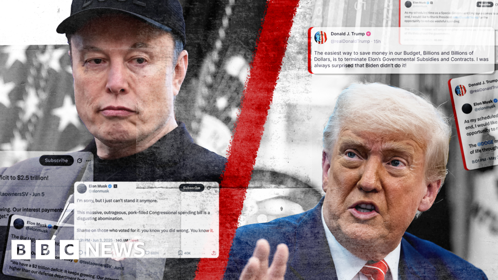 Trump and Musk: The 10 days that unravelled their relationship