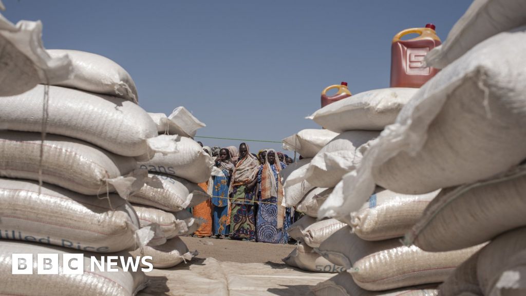 nigerian-officials-jailed-for-selling-food-aid-bbc-news