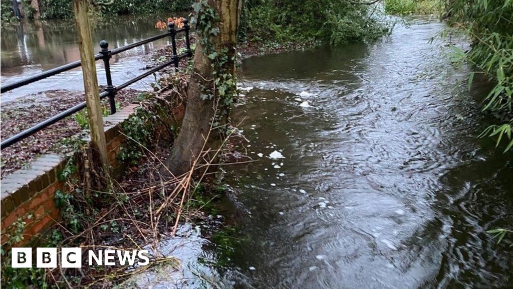 Chiltern chalk stream polluted by sewage after heavy rain 