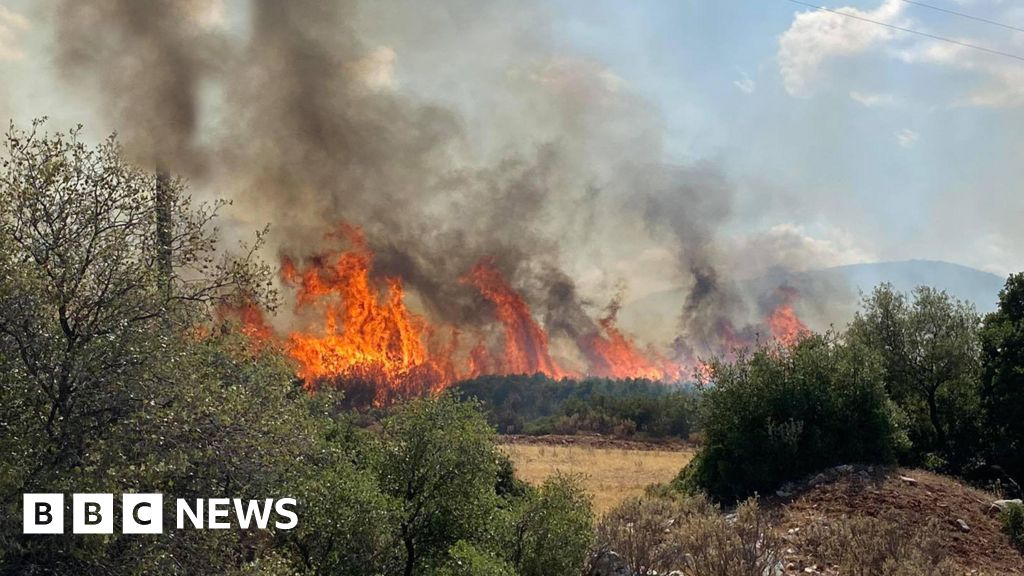 希腊森林火灾：一名消防员在扑灭森林火灾时丧生