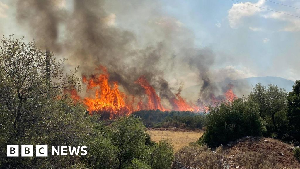 Incendi boschivi in ​​Grecia: un vigile del fuoco muore mentre combatte gli incendi boschivi