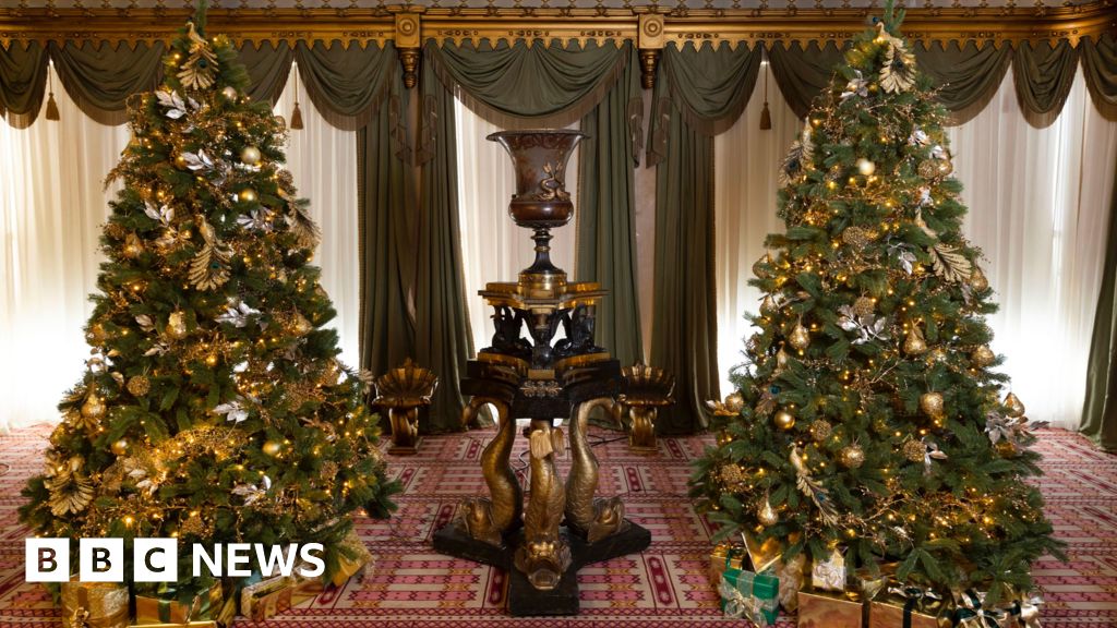 Brighton Christmas trees 'will tell stories of the past' BBC News
