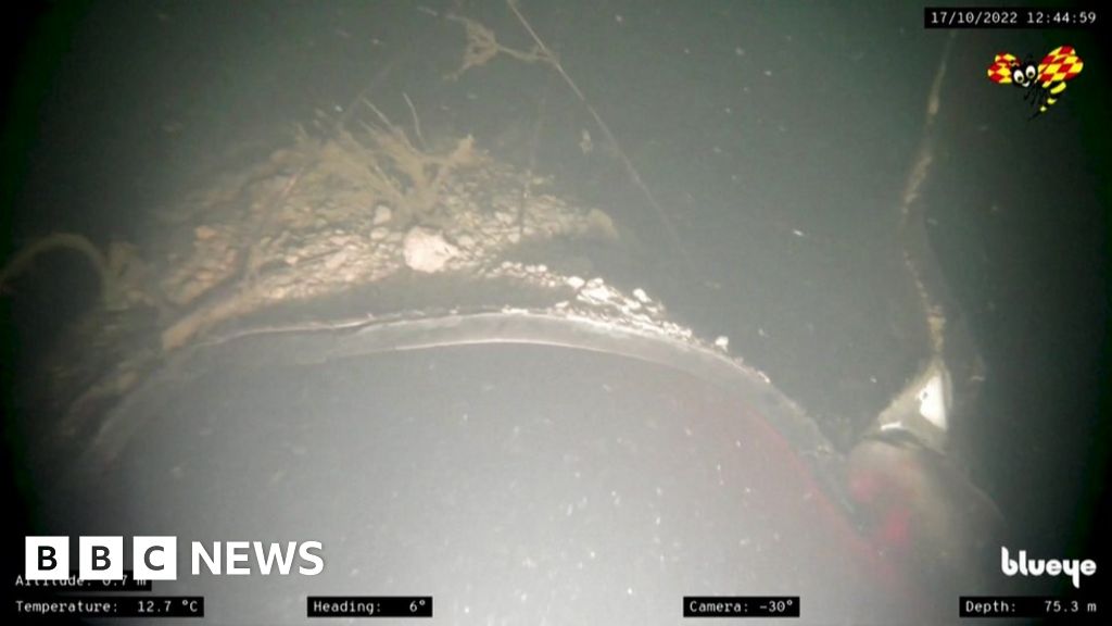 Nord Stream blast ‘blew away 50 metres of pipe’