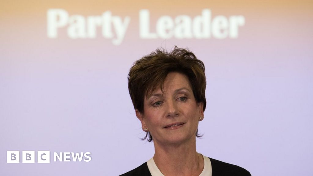 Diane James: Welsh UKIP does not have 'two kings' - BBC News