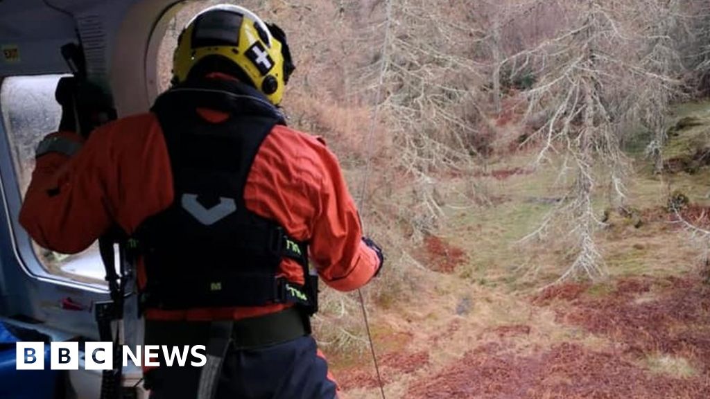 Highlands 'off-gridder' rescued from collapsed wood pile - BBC News