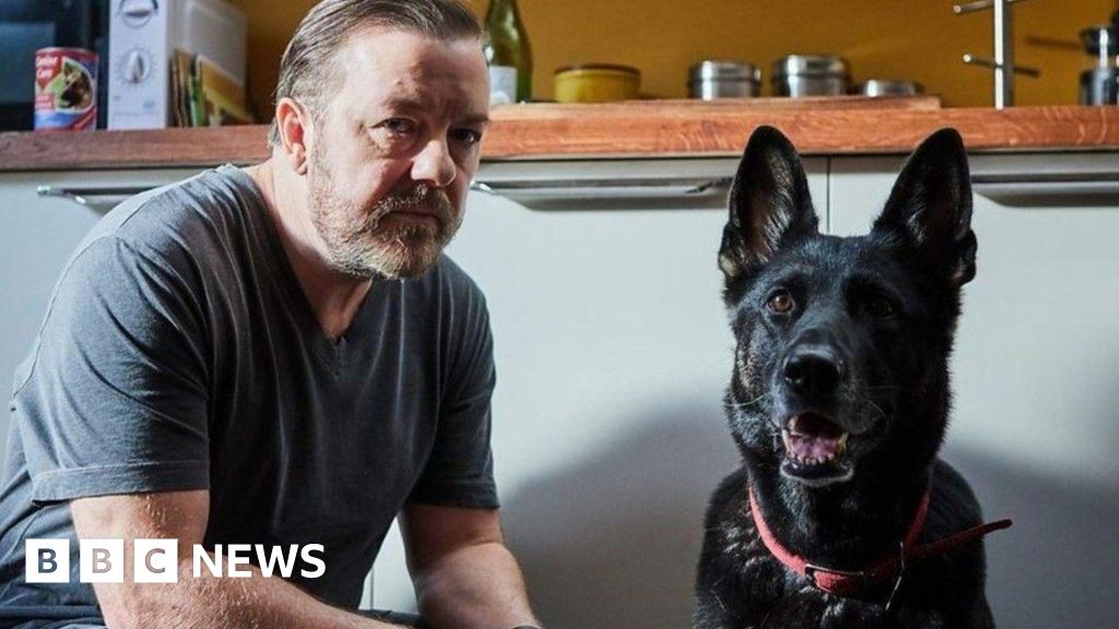 Penghormatan Ricky Gervais setelah anjing kelahiran Herefordshire dari After Life mati