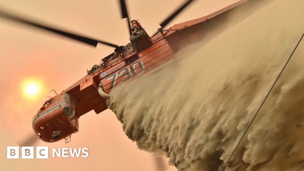 Week in Pictures: 14 - 20 December 2019