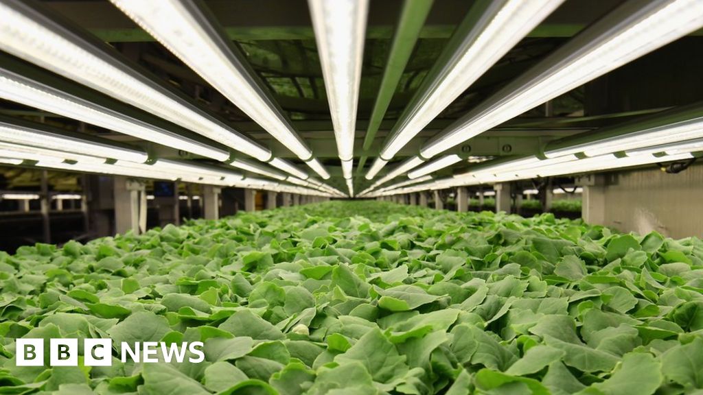 The Vertical Farm