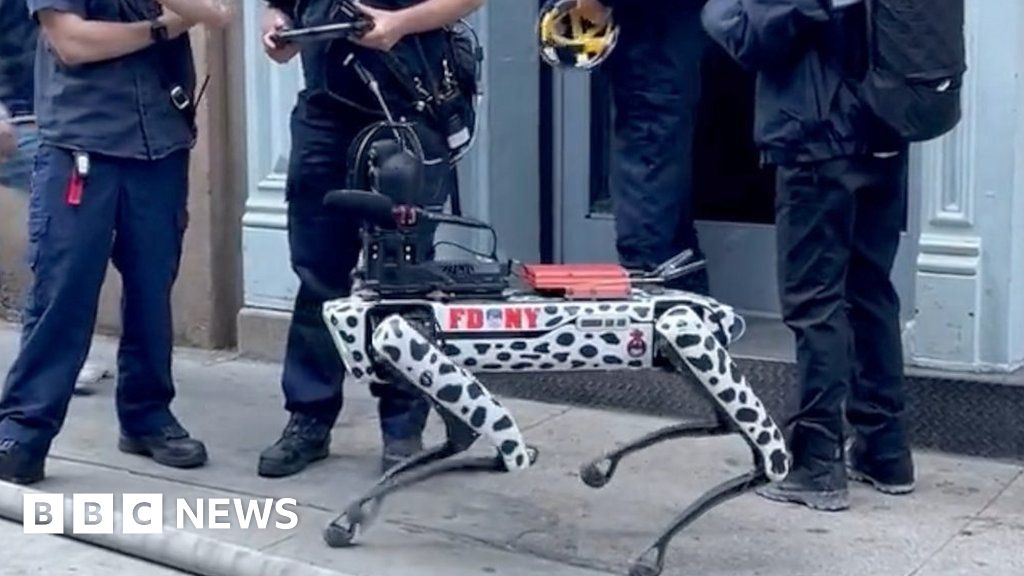 Robo dog deployed in New York parking garage collapse