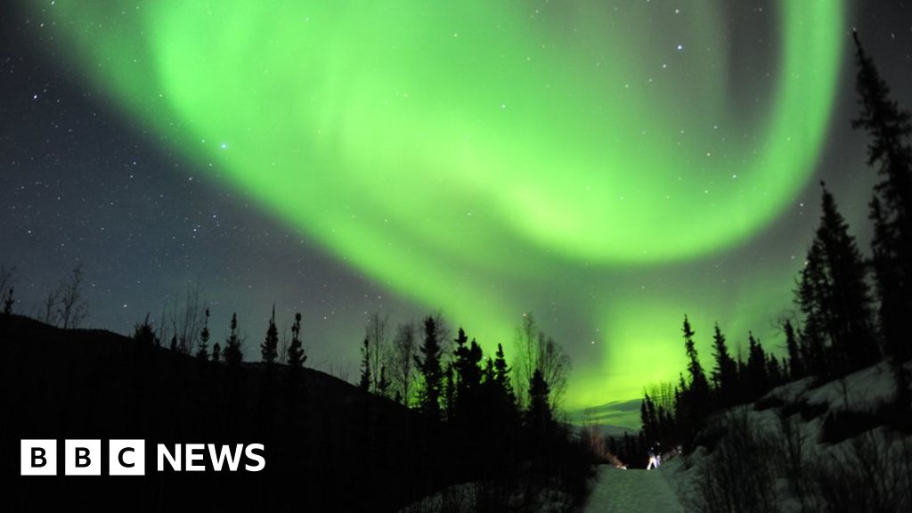 Entreprenør Udførelse Dele Rare show of Northern Lights dazzles North America - BBC News
