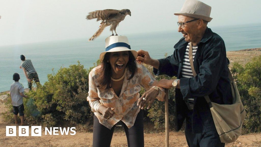 History of Africa Tunisia's falconry festival